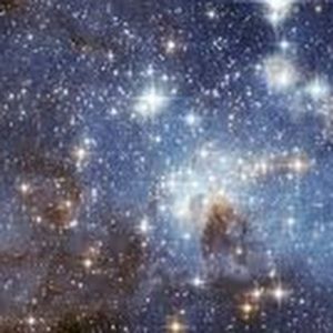 Meet your Posher, Tori